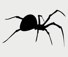 black and white icon of karakurt spider isolated on white background vector