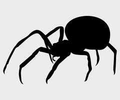 black and white icon of karakurt spider on white background vector