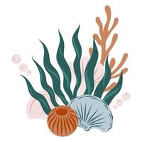 Composition of underwater life objects. Hand-drawn composition of marine shells, algae plants, coral vector