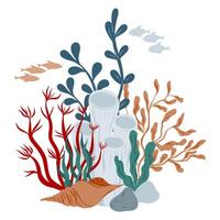 Hand drawn coral Reefs with seashell and seabed. Underwater composition with seaweed and coral, illustration vector