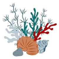 Underwater composition of coral reef, algae and seashell. Hand drawn underwater elements. Art of nautical elements vector