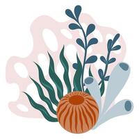 Hand drawn composition of marine shells, algae plants, coral. Underwater elements for cards, scrapbooking design, invitations vector