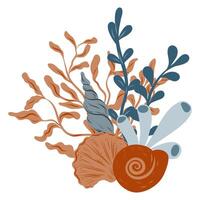Underwater composition of coral reef, seaweed and seashell. Hand drawn underwater elements. Art of nautical elements vector