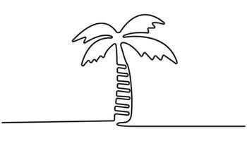 Palm tree continuous one line drawing of Isolated outline art white background vector