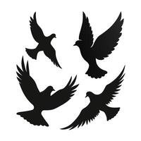 illustration of a pigeon silhouette set vector