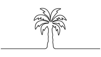 Palm tree continuous one line drawing and simple isolated on white background vector