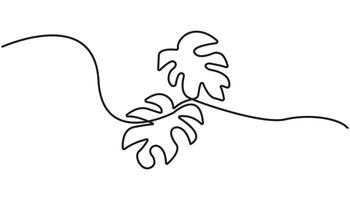 unique abstract Continuous one line drawing of monstera plant in the pot. Philodendron Monstera plant in single line illustration vector
