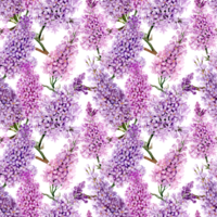 mão pintado Primavera exuberante lilás inflorescências em a em loop fundo png