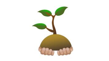 A young tree with growing branches and leaves stands in fertile soil, representing environmental regeneration, tree planting, and ecological responsibility. video