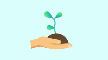 A young plant sprouts from soil held in a human hand, representing growth, hope, and sustainability through reforestation and responsible environmental care. video