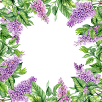 Hand drawn square frame with lilac branches png