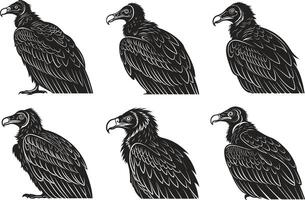 Majestic Vultures Design Set vector