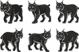 Lynx Design Collection vector
