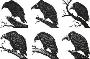 Vulture Dynamic Silhouette Design vector