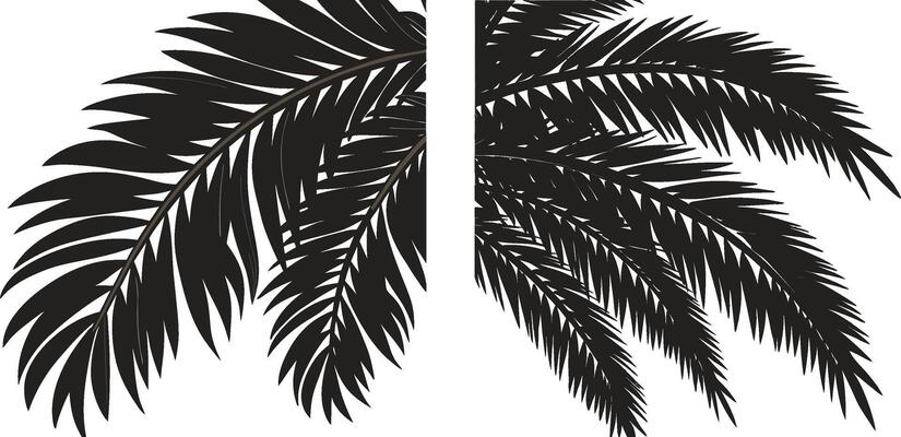 Black and White Palm Silhouettes with Lush Tropical Foliage