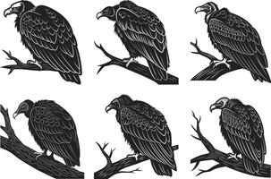 Dynamic Vultures Design Bundle vector