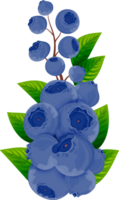 Cluster of ripe blueberries with green leaves on a branch. Isolated on transparent background. png
