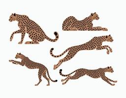 Elegant Cheetah Silhouette Collection Isolated Template vector