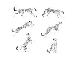 Cheetah Abstract Silhouette Template vector