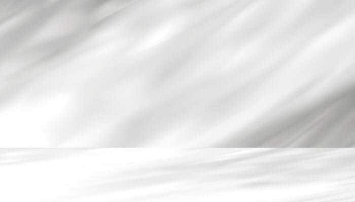 White Background with Shadow on Studio Room for Product Presentation, Light Overlay on Wall Grey Texture Surface,Light Effect from Window and Tree with Nature Line Pattern for Spring,Summer