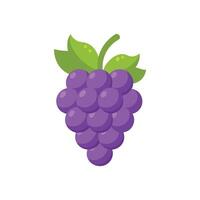 Fresh Grape isolated flat illustration on white background. vector