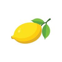 Lemon with leaf isolated flat illustration on white background. vector