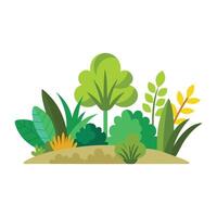Plants bushes isolated flat illustration on white background. vector