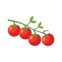 Branch of delicious fresh cherry tomatoes isolated flat illustration on white background. vector