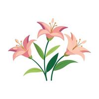 Elegant blooming lilies with buds isolated flat illustration on white background. vector