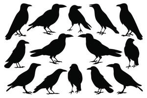 Crows silhouettes set isolated flat illustration on white background vector