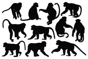 Monkey silhouettes set isolated flat illustration on white background. vector
