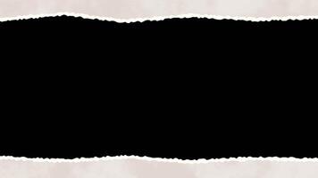 Torn paper frame animated with alpha channel. Top and bottom ragged edges paper motion graphic on transparent background. Border, ripped paper, grey, pink, blue, green. video