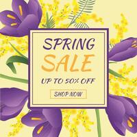 Hello spring. Sale banner with spring flowers crocus and mimosa on yellow background. Banner, postcard, poster. vector
