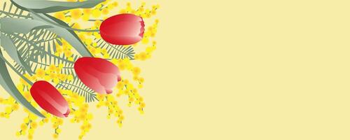 Postcard with mimosa twigs and tulips on yellow background. Happy Spring. Illustration EPS10 with copy space. vector