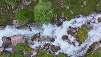 Aerial View of River Flowing Through Green Forest, Drone Descent Real-Time video