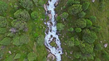 Aerial View of River Flowing Through Green Forest, Drone Descent Real-Time video