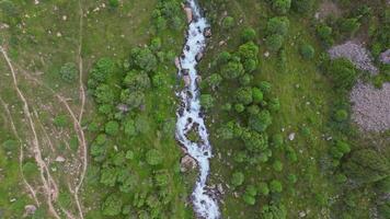 Aerial View of River Flowing Through Green Forest, Drone Descent Real-Time video