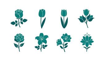 Minimalist Flower Graphics with Elegant Rose and Botanical Designs vector