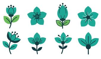 Elegant Rose and Minimalist Flower Collection for Print and Web Design vector