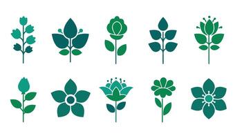 Floral Outline Shapes with Unique and Stylish Flower Graphics vector