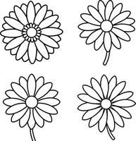 Compilation of flower illustrations coloring sheet floral patterns in spring and summer colors vector