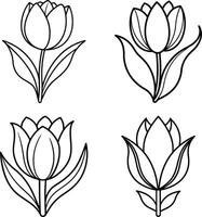 Selection of floral illustrations coloring page flower patterns in spring and summer colors vector