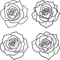 Compilation of floral illustrations coloring page flower patterns in spring and summer colors vector