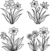 Selection of flower illustrations coloring sheet floral patterns in spring and summer colors vector