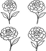 Selection of flower illustrations coloring page floral patterns in spring and summer colors vector
