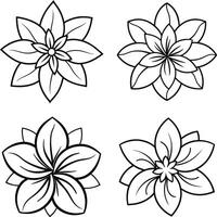 Range of floral illustrations coloring sheet flower patterns in spring and summer colors vector