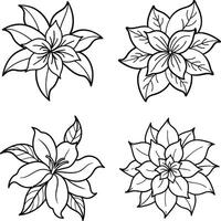 Compilation of floral illustrations coloring sheet flower patterns in spring and summer colors vector