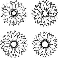 Compilation of flower illustrations coloring page floral patterns in spring and summer colors vector