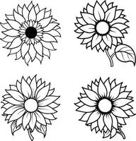 Variety of floral illustrations coloring sheet flower patterns in spring and summer colors vector