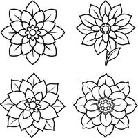 Group of flower illustrations coloring sheet floral patterns in spring and summer colors vector